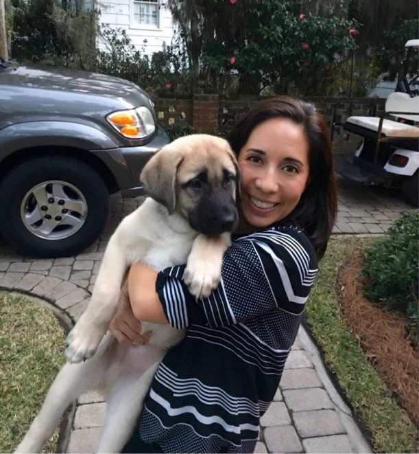 Turk - Anatolian pup